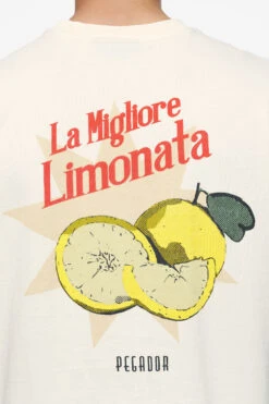 Plaxton Oversized Tee Vintage Washed Unbleached -Pegador Sale Store PEGADOR FINER THINGS ECOMMERCE MALE DAY 240776