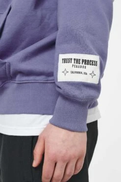 Cordova Oversized Hoodie Vintage Washed Magic Violet -Pegador Sale Store PEGADOR TRUST THE PROCESS ECOMMERCE MALE27365