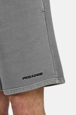 Logo Heavy Sweat Shorts Vintage Grey -Pegador Sale Store PGDR 1569 386 Logo Heavy Sweat Shorts Vintage Grey 199 1