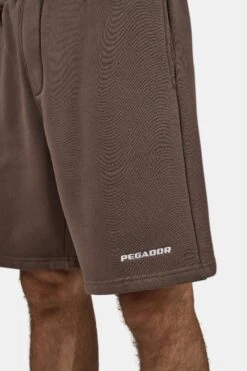 Logo Heavy Sweat Shorts Washed Cozy Brown White -Pegador Sale Store PGDR 1569 576 004 LOGO HEAVY SWEAT SHORTSWASHED COZY BROWN WHITE 2064