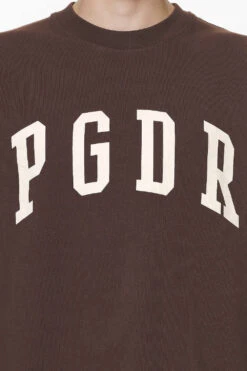 Layton Oversized Tee Washed Oak Brown 9 Layton Oversized Tee Washed Oak Brown -Pegador Sale Store PGDR DO NOT DISTURB E COMMERCE DAY 262165