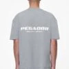 Colne Logo Oversized Tee Heavy Washed Cool Grey -Pegador Sale Store PGDR LAST MINUTE E COMMERCE44373 d32b0df5 2f3e 4b44 94eb ea913f05777d