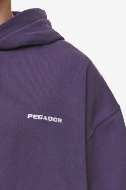 Logo Oversized Hoodie Washed Deep Purple -Pegador Sale Store PGDR MOST ALIVE ECOMMERCE MENS DAY 152561 fe4cc14f 3aa7 4eb1 9f36 28ed5908858b
