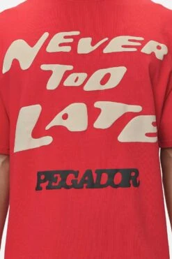 Corey Boxy Tee Washed Red -Pegador Sale Store PGDR NEVER TOO LATE ECOMMERCE MALE DAY 111
