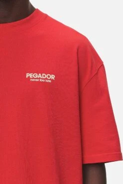Alchar Oversized Tee Washed Red -Pegador Sale Store PGDR NEVER TOO LATE ECOMMERCE MALE DAY 1206