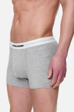 Camino Boxershorts Single Logo 3 Pack Grey Melange White -Pegador Sale Store PGDR NEVER TOO LATE ECOMMERCE MALE UNDERWEAR39