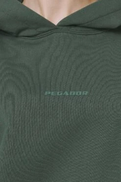Clarita Logo Oversized Hoodie Washed Sage Green Gum -Pegador Sale Store PGDR DND E COMMERCE WMNS56491